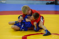 Российские школьники обучатся самообороне