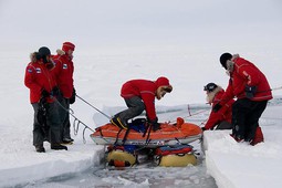 Московские школьники пройдут 100 км. по Северному полюсу