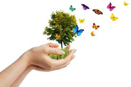 Первый всероссийский экологический детский фестиваль пройдет в Ростове 6 июня