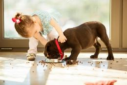 Воспитание детей с помощью домашних животных